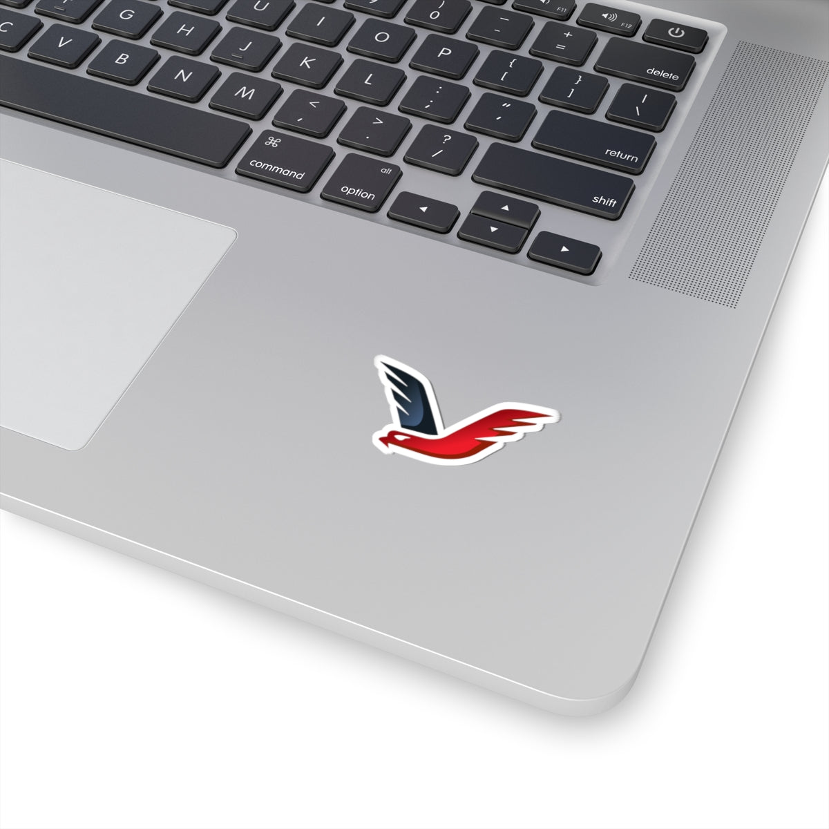 VICTORY EAGLE STICKER